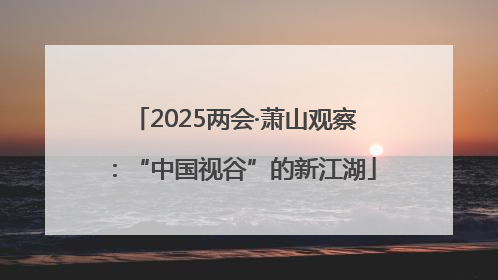2025两会·萧山观察：“中国视谷”的新江湖
