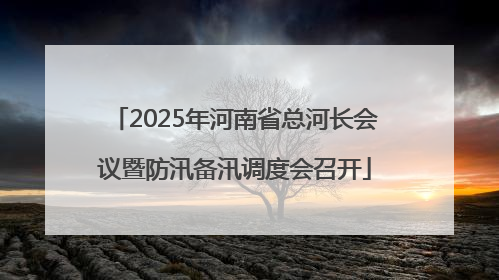 2025年河南省总河长会议暨防汛备汛调度会召开