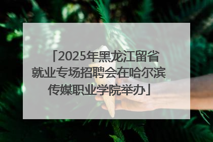 2025年黑龙江留省就业专场招聘会在哈尔滨传媒职业学院举办