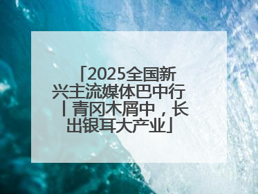 2025全国新兴主流媒体巴中行丨青冈木屑中，长出银耳大产业