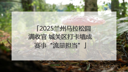 2025兰州马拉松圆满收官 城关区打卡墙成赛事“流量担当”
