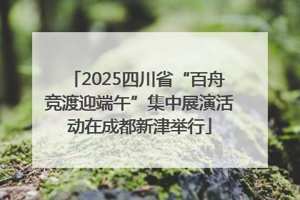 2025四川省“百舟竞渡迎端午”集中展演活动在成都新津举行