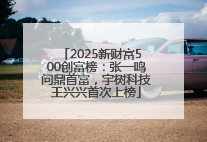 2025新财富500创富榜：张一鸣问鼎首富，宇树科技王兴兴首次上榜