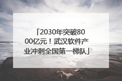 2030年突破8000亿元！武汉软件产业冲刺全国第一梯队