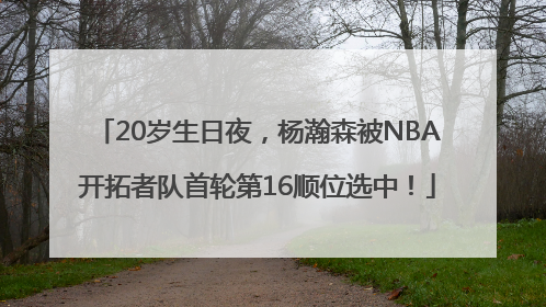 20岁生日夜，杨瀚森被NBA开拓者队首轮第16顺位选中！