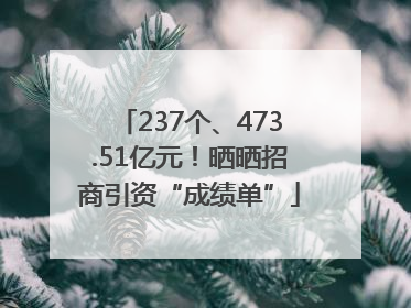 237个、473.51亿元！晒晒招商引资“成绩单”