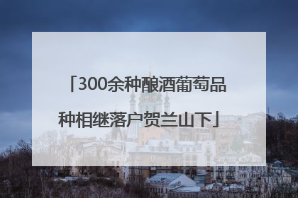 300余种酿酒葡萄品种相继落户贺兰山下