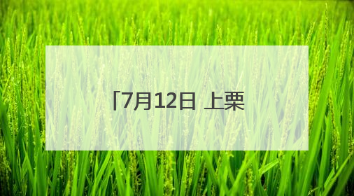 7月12日 上栗县杨岐山风景名胜区奇幻龙洞夜逍遥活动启幕（图）