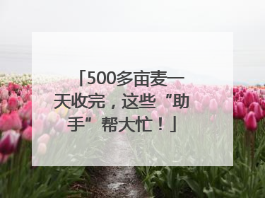 500多亩麦一天收完，这些“助手”帮大忙！