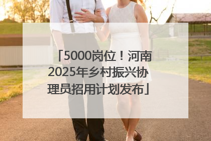 5000岗位！河南2025年乡村振兴协理员招用计划发布