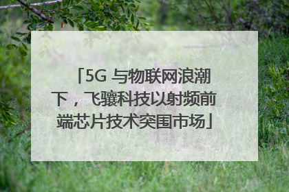 5G 与物联网浪潮下，飞骧科技以射频前端芯片技术突围市场