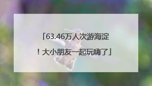 63.46万人次游海淀！大小朋友一起玩嗨了