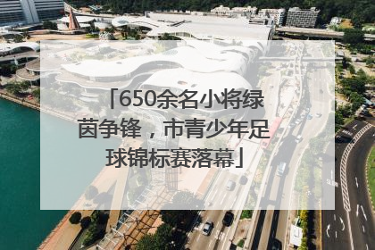 650余名小将绿茵争锋，市青少年足球锦标赛落幕