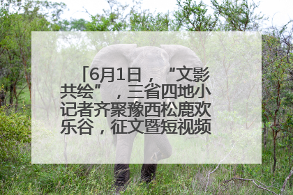 6月1日，“文影共绘”，三省四地小记者齐聚豫西松鹿欢乐谷，征文暨短视频大赛精彩启幕！