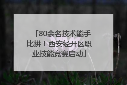 80余名技术能手比拼！西安经开区职业技能竞赛启动