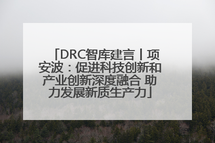 DRC智库建言丨项安波：促进科技创新和产业创新深度融合 助力发展新质生产力